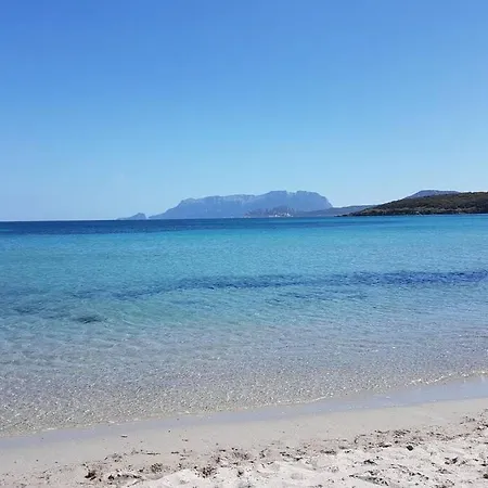 Pura Vida Loft Olbia